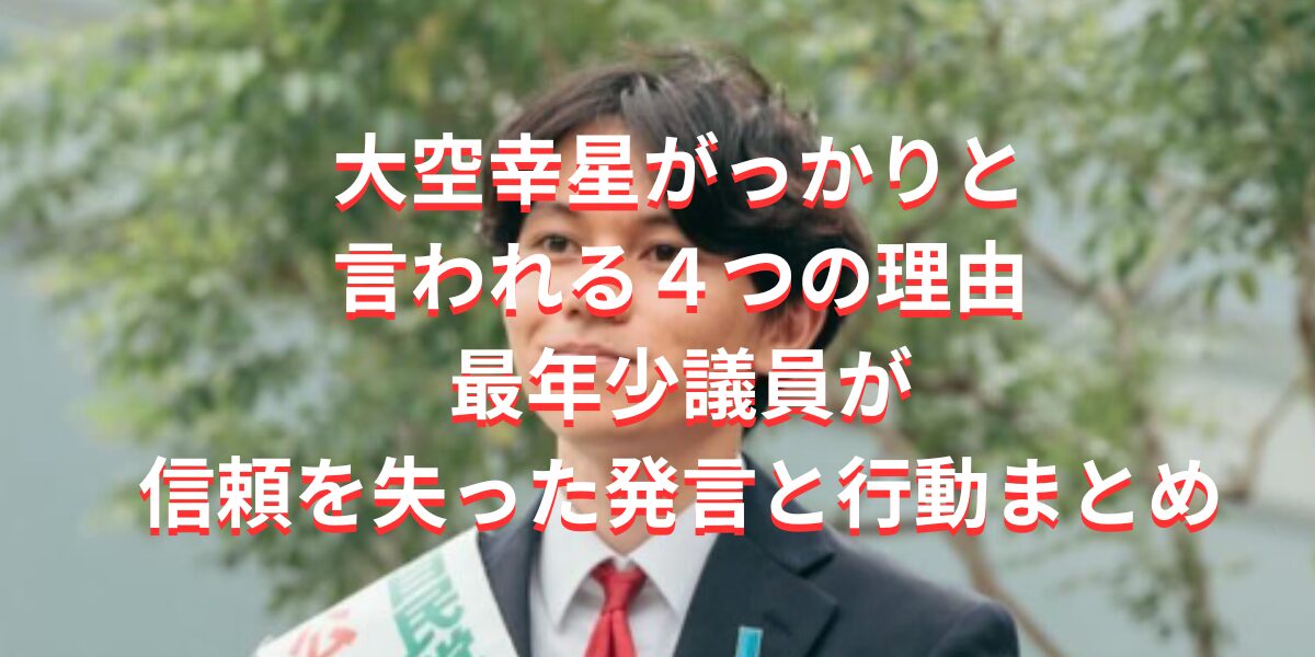 大空幸星がっかりと 言われる４つの理由 最年少議員が信頼を失った発言と行動まとめ